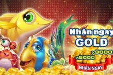 Giftcode Xuvang777 – Săn cá vui mỗi ngày, rinh Code không ngừng nghỉ