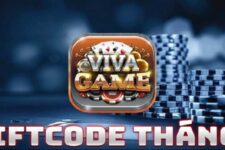 Giftcode Viva Game – Một trong những giftcode giá trị và đẳng cấp nhất thị trường