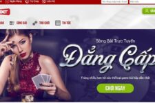 Nhà cái Mibet88 hay 6bet – Đâu là thương hiệu cá cược đổi thưởng vạn người mê?